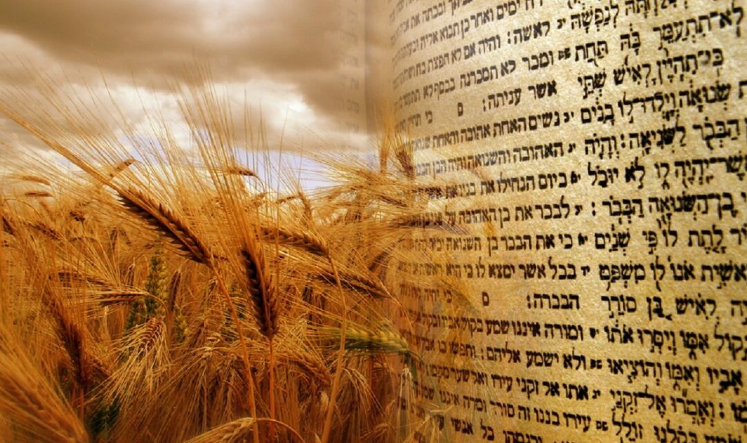 Shavuot? For the Christians Who Do Not Know